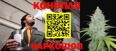 индика Заводоуковск