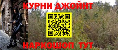 индика Заводоуковск